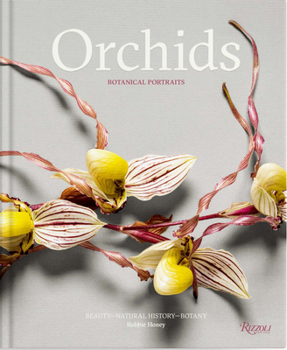 Hardcover Orchids: Botanical Portraits: Beauty, Natural History, Botany Book