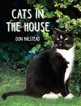 Paperback Cats in the House Book