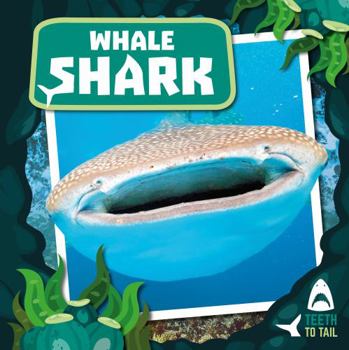 Hardcover Whale Shark: Teeth to Tail Book