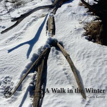 Paperback A Walk in the Winter Book