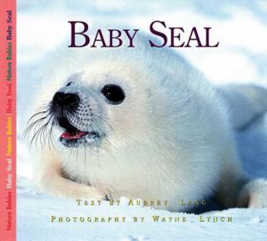 Paperback Baby Seal Book