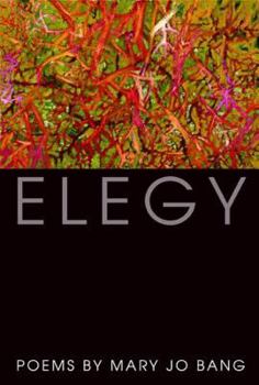 Paperback Elegy Book