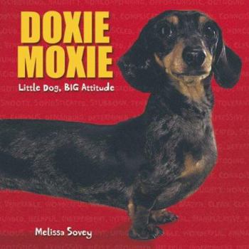 Hardcover Doxie Moxie: Little Dog, Big Attitude Book