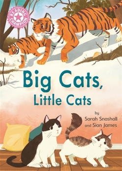 Big Cats, Little Cats: Independent Reading Pink 1B Non-fiction (Reading Champion)