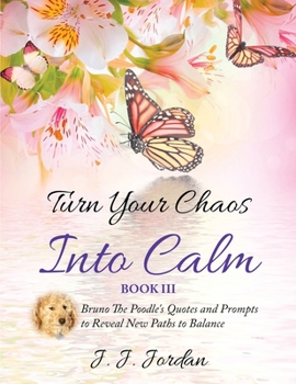 Paperback Turn Your Chaos Into Calm Book