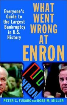 Paperback What Went Wrong at Enron: Everyone's Guide to the Largest Bankruptcy in U.S. History Book