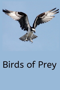 Birds of Prey: Writing journal/ Composition Notebook / Journal / Diary / Birds of Prey