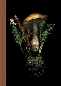 Diary Deep Dark Forest Mushroom Journal Book