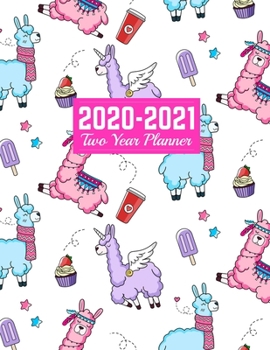 2020-2021 Two Year Planner: Neat 24-Months Calendar, 2-Year Appointment Business Planners, Agenda Schedule Organizer Logbook and Journal Art Cover 00023188