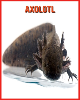 Axolotl: Recueil pour Enfants de Belles Images & d'Informations Int?ressantes Concernant les Axolotl