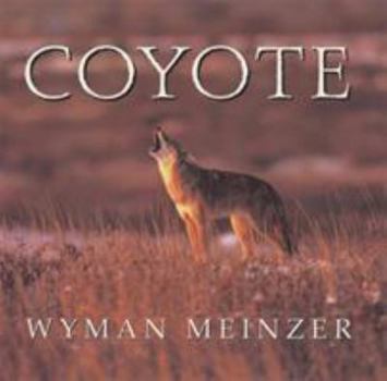 Paperback Coyote Book