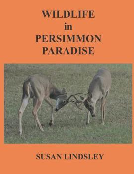 Paperback Wildlife in Persimmon Paradise Book