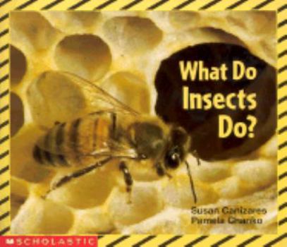 Paperback What Do Insects Do? Book