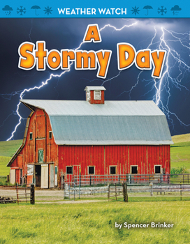 Paperback A Stormy Day Book