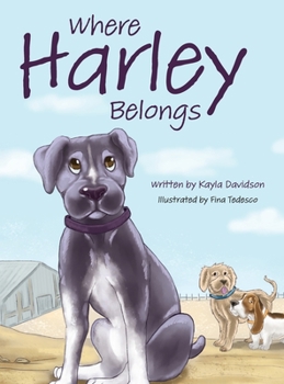 Hardcover Where Harley Belongs Book