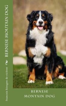 Paperback bernese moutain dog Book