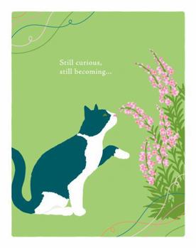 Cards Positively Green Greeting Cards: Birthday - Still Curious, Still Becoming (Pack of 6) Book