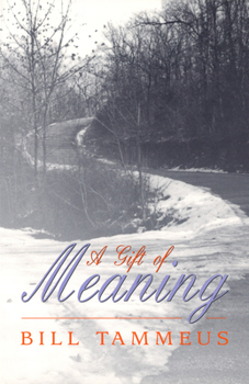 Paperback A Gift of Meaning Book