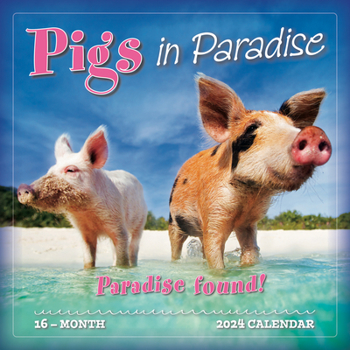 Calendar Pigs in Paradise Book