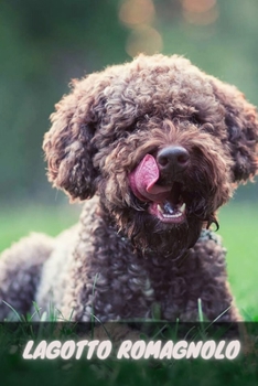 Lagotto Romagnolo: Complete breed guide