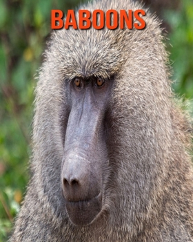 Paperback Baboons: Amazing Photos & Fun Facts Book About Baboons For Kids Book
