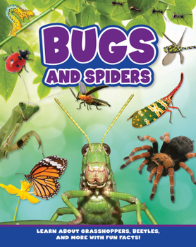 Hardcover Bugs and Spiders Book