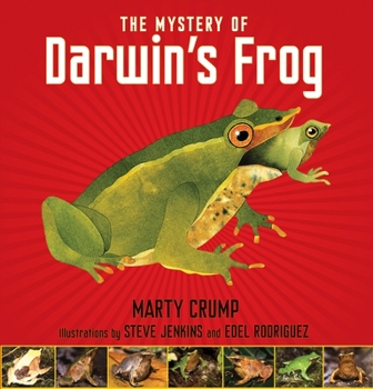 Hardcover The Mystery of Darwin's Frog Book