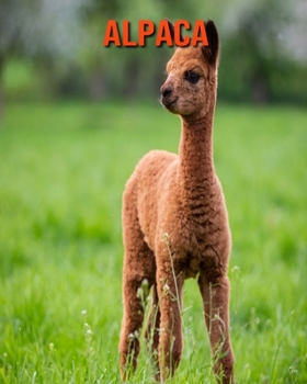 Paperback Alpaca: Fun Learning Facts About Alpaca Book