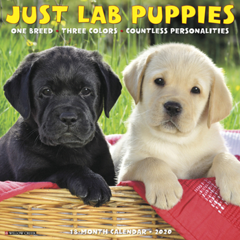 Calendar Just Lab Puppies 2020 Wall Calendar (Dog Breed Calendar) Book