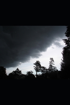 Paperback The Beginning: A New Verse Interpretation of the Junius Genesis Manuscript Book