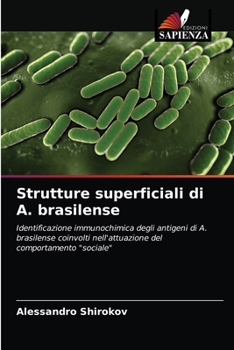 Paperback Strutture superficiali di A. brasilense [Italian] Book