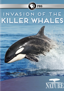 DVD Nature: Invasion of the Killer Whales Book