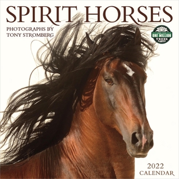 Calendar Spirit Horses 2022 Wall Calendar Book