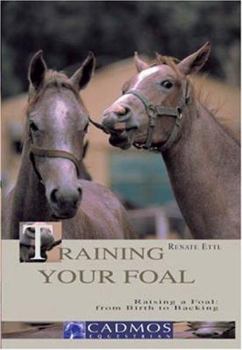 Hardcover Training Your Foal: Raising a Foal: from Birth to Backing Book