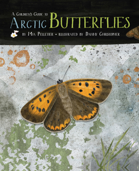 Hardcover A Children's Guide to Arctic Butterflies Book