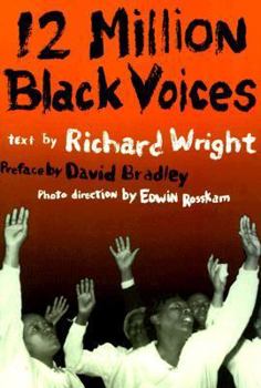 12 Million Black Voices