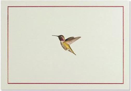 Misc. Hummingbird Flight Note Cards (Stationery, Boxed Cards) [With Envelope] Book