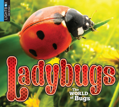 Library Binding Ladybugs Book