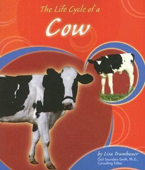 Paperback The Life Cycle of a Cow (Life Cycles) Book
