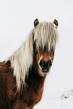 Paperback Icelandic Horse Journal: 150 Page Lined Notebook/Diary Book