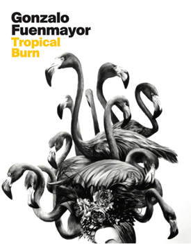 Hardcover Gonzalo Fuenmayor: Tropical Burn Book