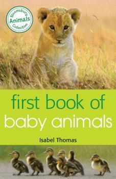 Paperback First Book of Baby Animals Book