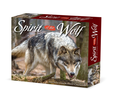 Calendar Spirit of the Wolf 2022 Box Calendar - Wolves Daily Desktop Book