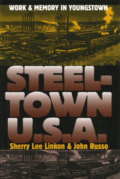 Steeltown USA: Work and Memory in Youngstown - Book  of the CultureAmerica