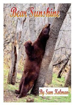 Paperback Bear Sunshine Book