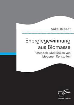 Paperback Energiegewinnung aus Biomasse. Potenziale und Risiken von biogenen Rohstoffen [German] Book