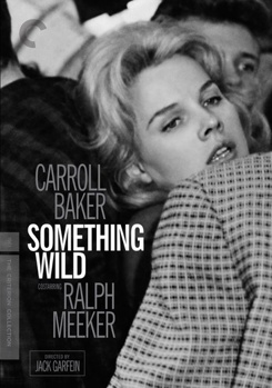 DVD Something Wild Book