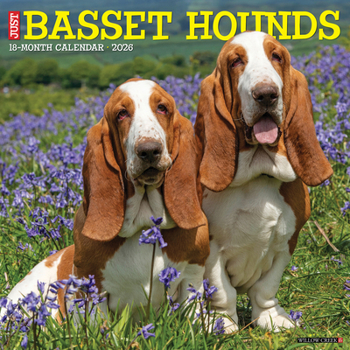 Calendar Basset Hounds 2026 Wall Calendar Book