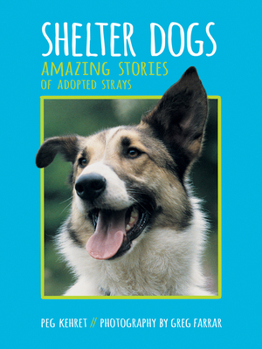 Paperback Shelter Dogs: Amazing Stories of Adopted Strays Book