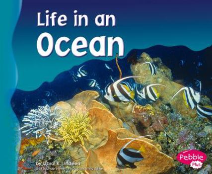 Paperback Life in an Ocean Book